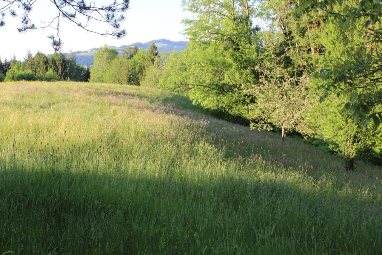 Naturparadies Silvia Alberschwende Exteriör bild