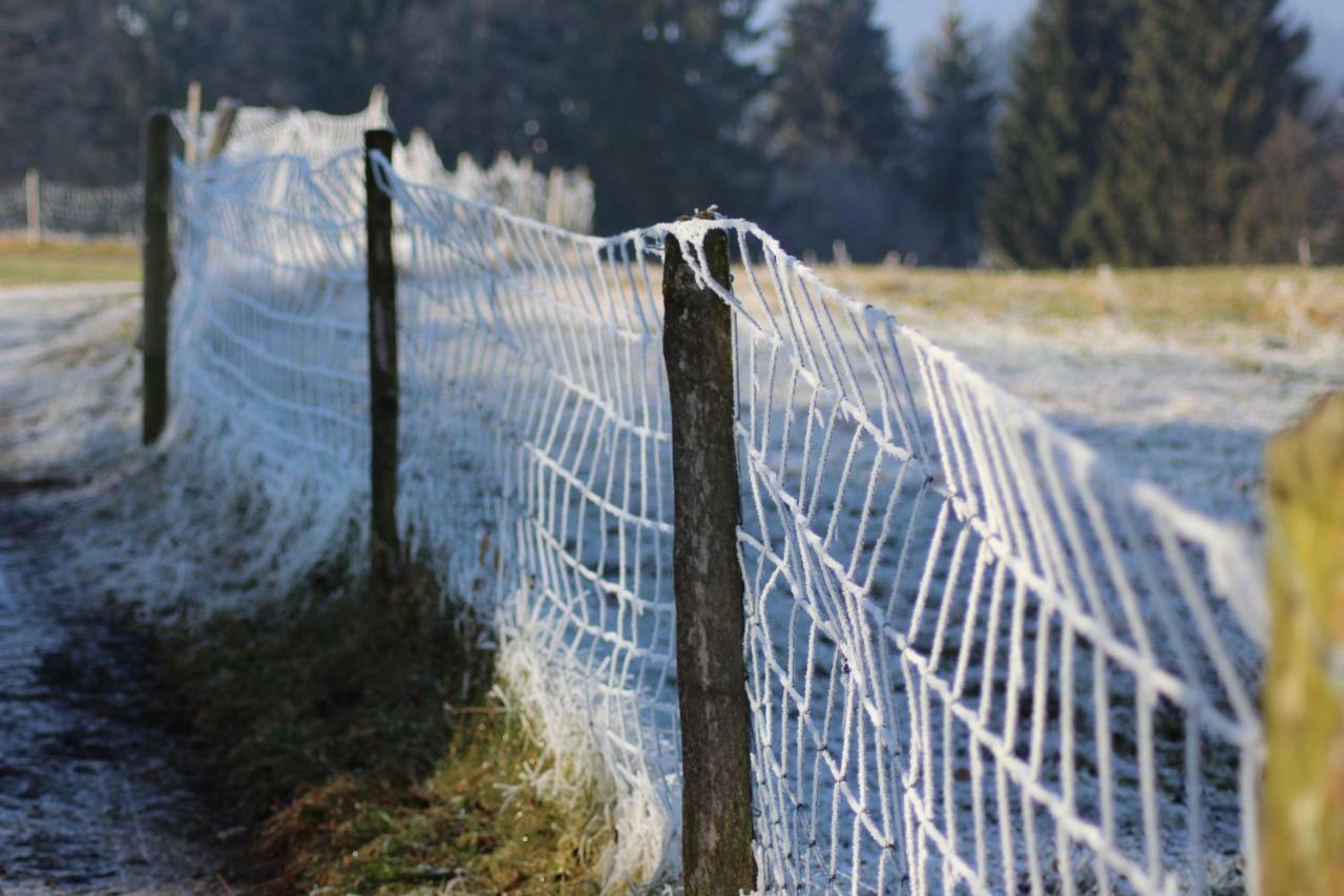 Naturparadies Silvia Alberschwende Exteriör bild